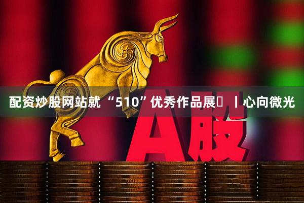 配资炒股网站就 “510”优秀作品展⑫丨心向微光