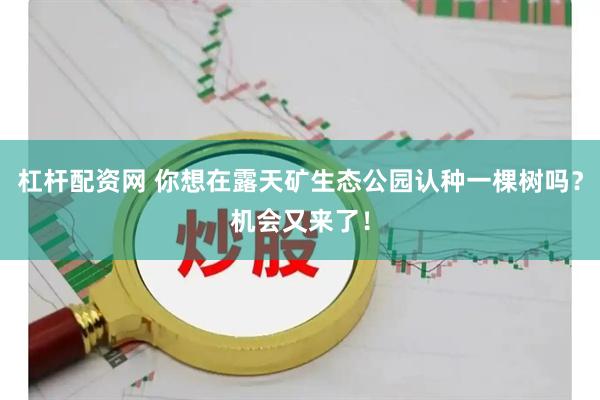 杠杆配资网 你想在露天矿生态公园认种一棵树吗？机会又来了！