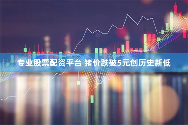 专业股票配资平台 猪价跌破5元创历史新低
